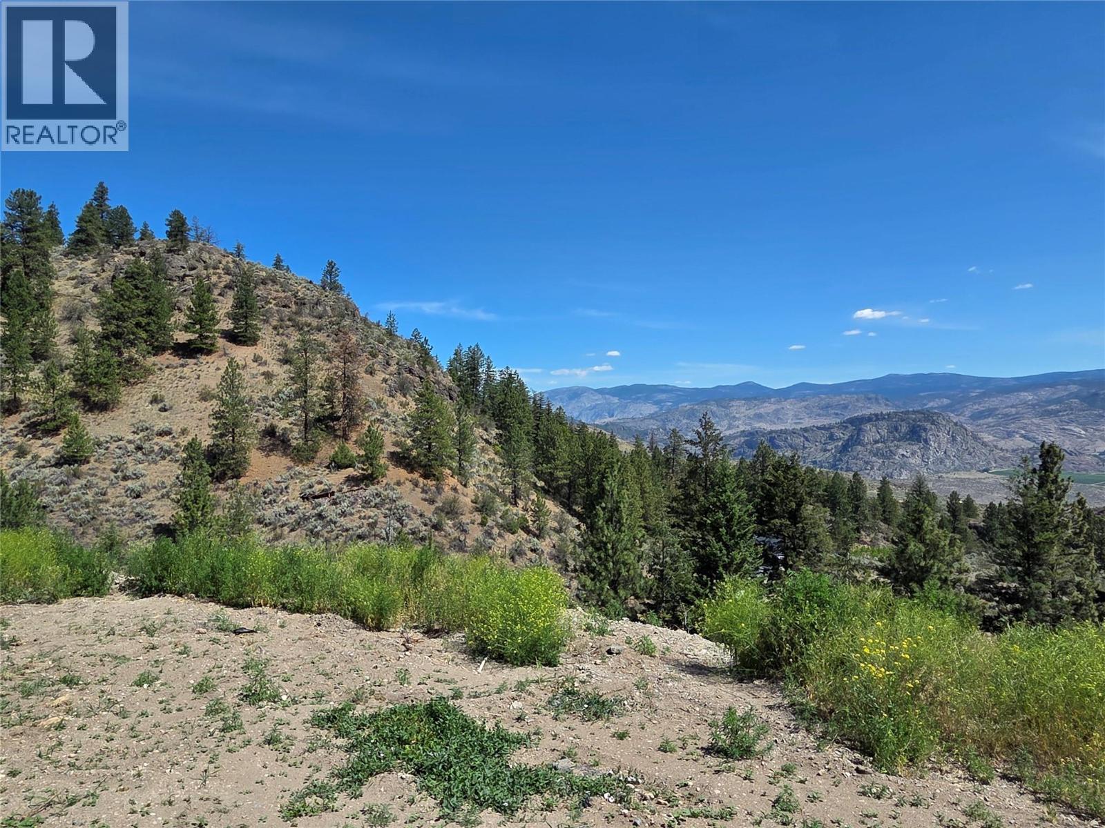 15341 Old Richter Pass Road, Osoyoos, British Columbia  V0H 1V5 - Photo 44 - 10389480