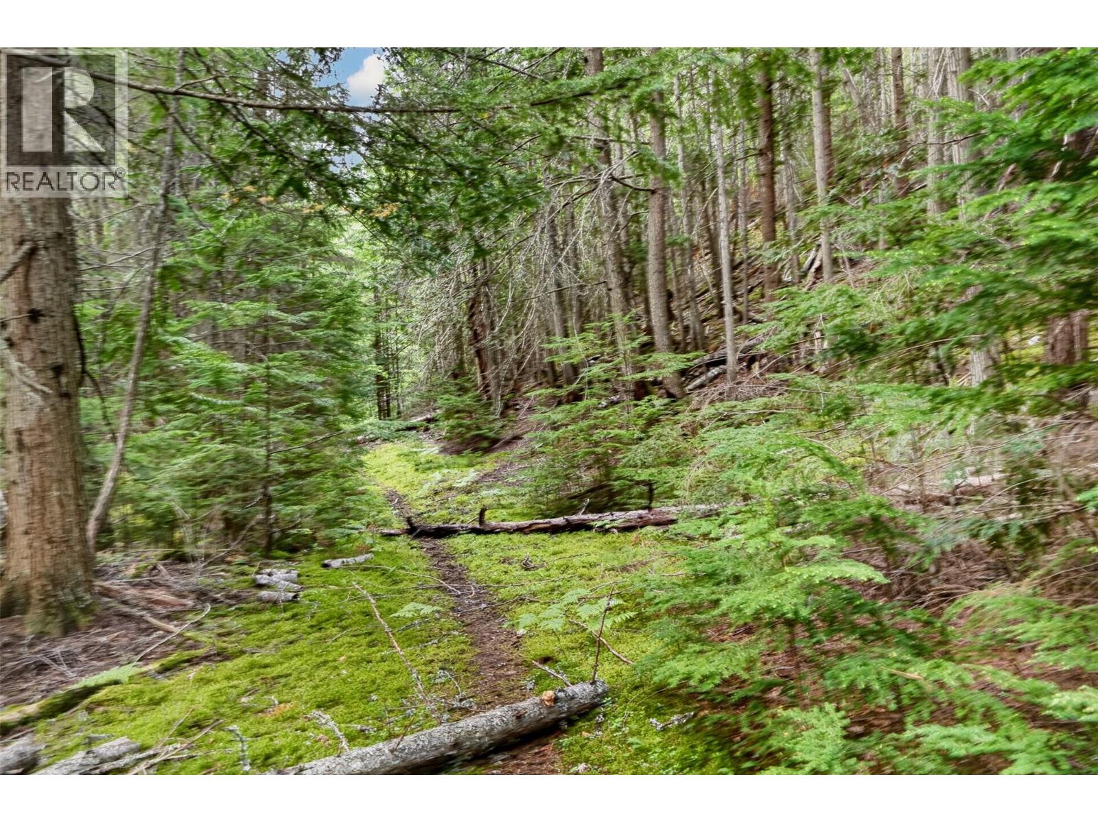 Highway 31 Lot# 5, Fletcher Creek, British Columbia  V0G 1M0 - Photo 10 - 10389388