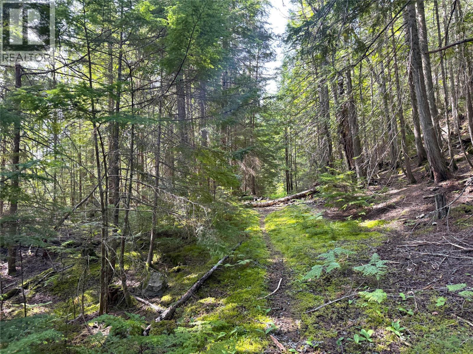 Highway 31 Lot# 5, Fletcher Creek, British Columbia  V0G 1M0 - Photo 12 - 10389388