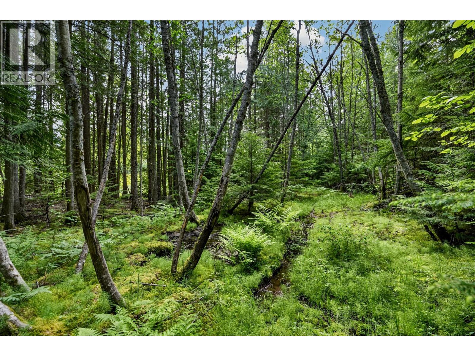Highway 31 Lot# 5, Fletcher Creek, British Columbia  V0G 1M0 - Photo 13 - 10389388