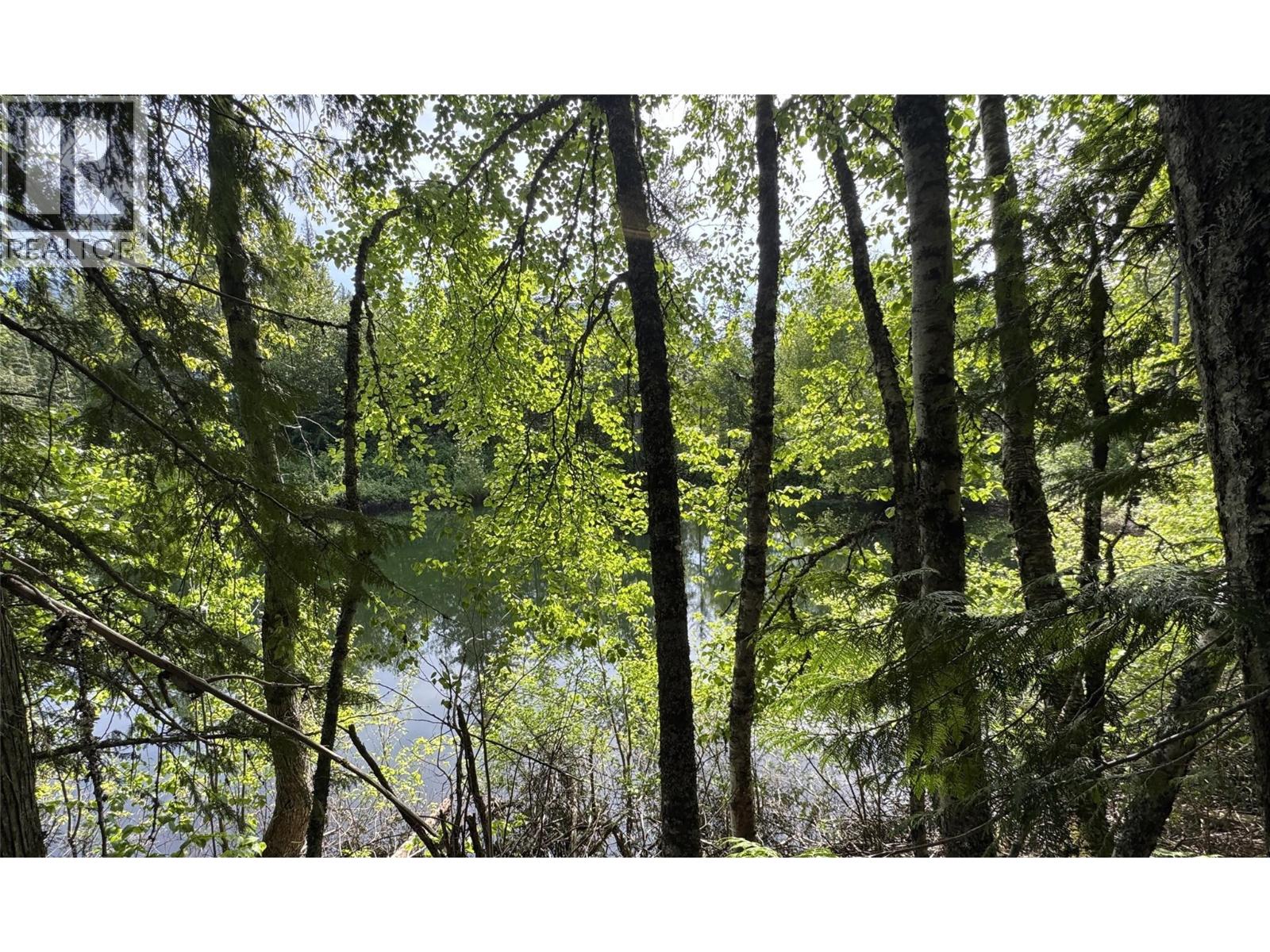 Highway 31 Lot# 5, Fletcher Creek, British Columbia  V0G 1M0 - Photo 14 - 10389388