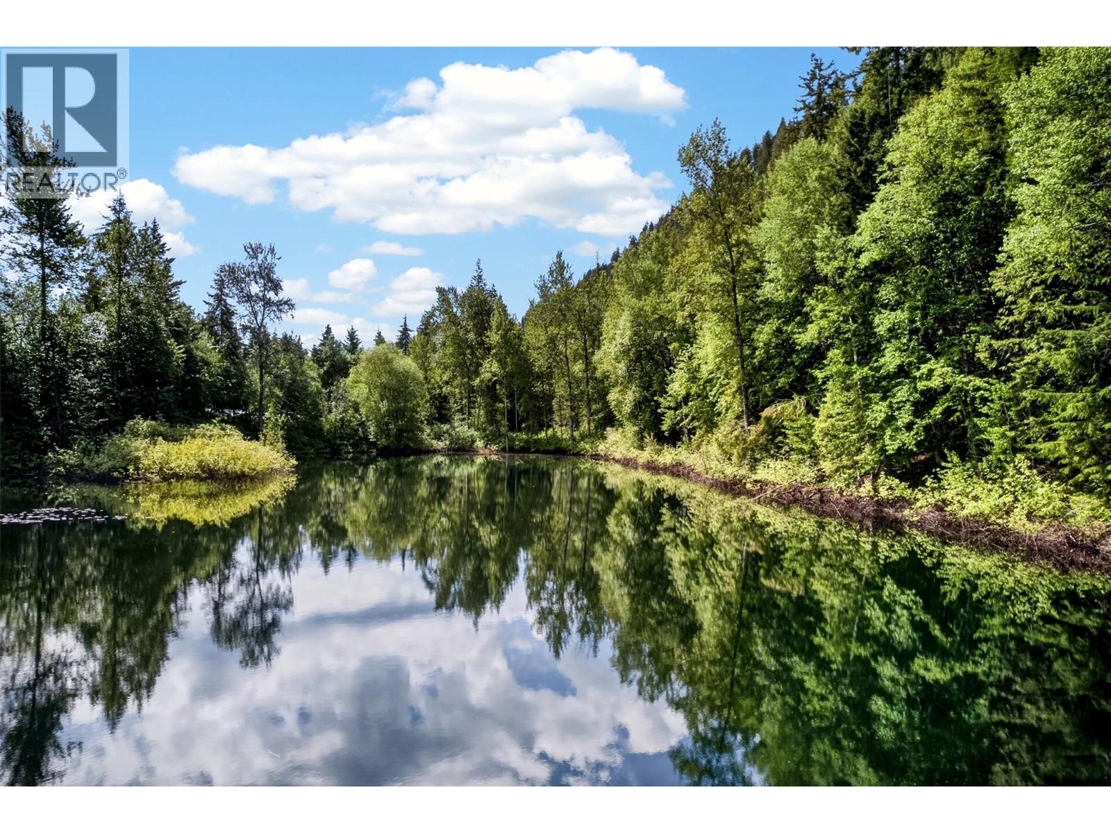Highway 31 Lot# 5, Fletcher Creek, British Columbia  V0G 1M0 - Photo 16 - 10389388