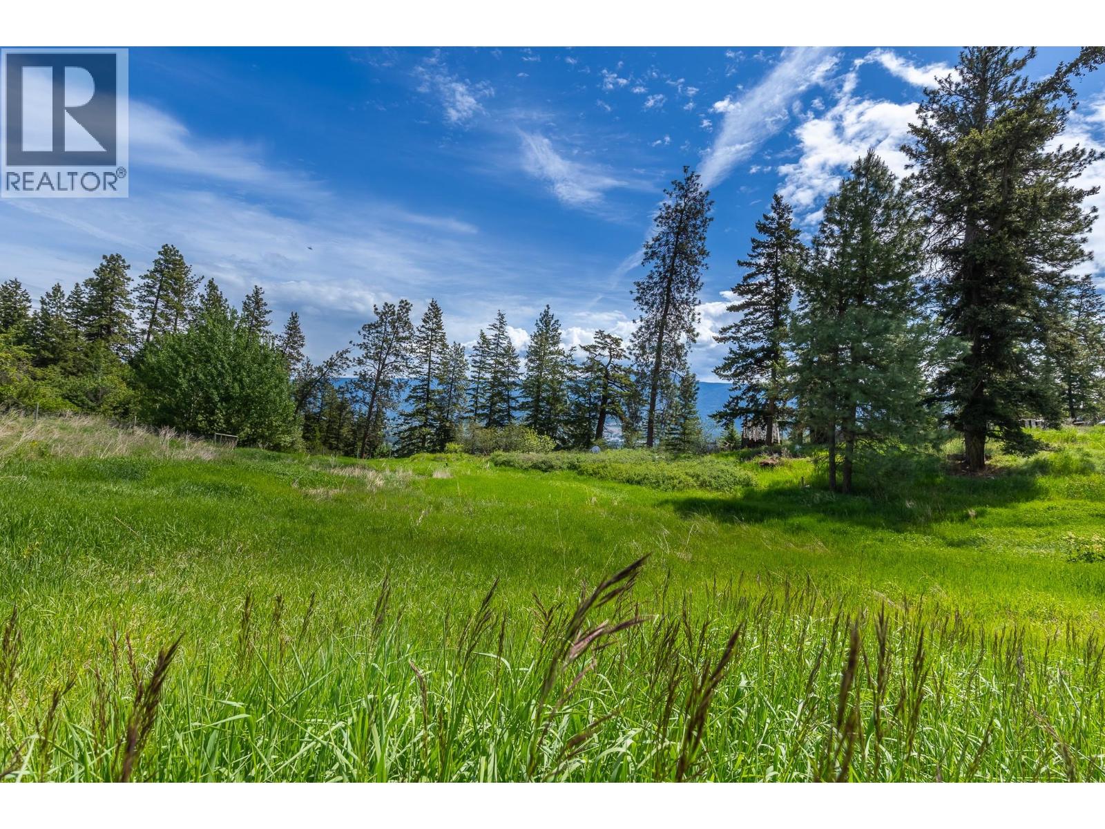 Proposed Lot B 1212 Page Road, Spallumcheen, British Columbia  V4Y 0P8 - Photo 25 - 10389065