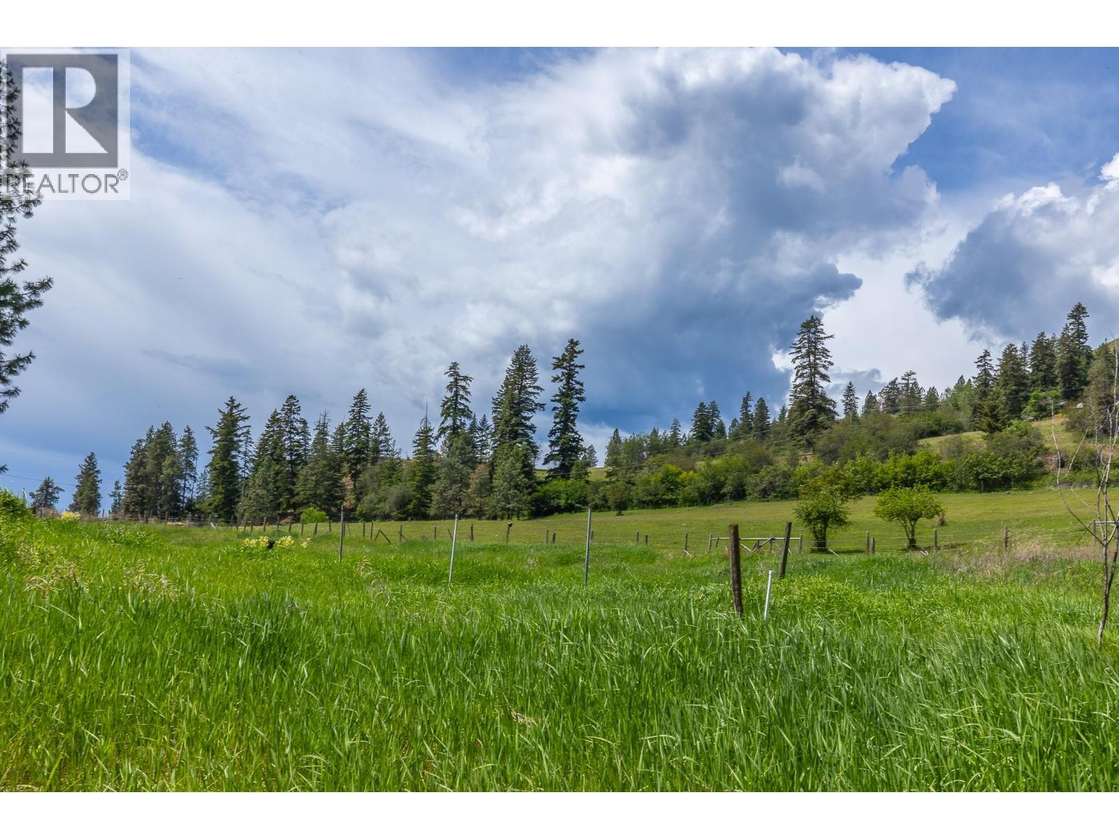 Proposed Lot B 1212 Page Road, Spallumcheen, British Columbia  V4Y 0P8 - Photo 28 - 10389065