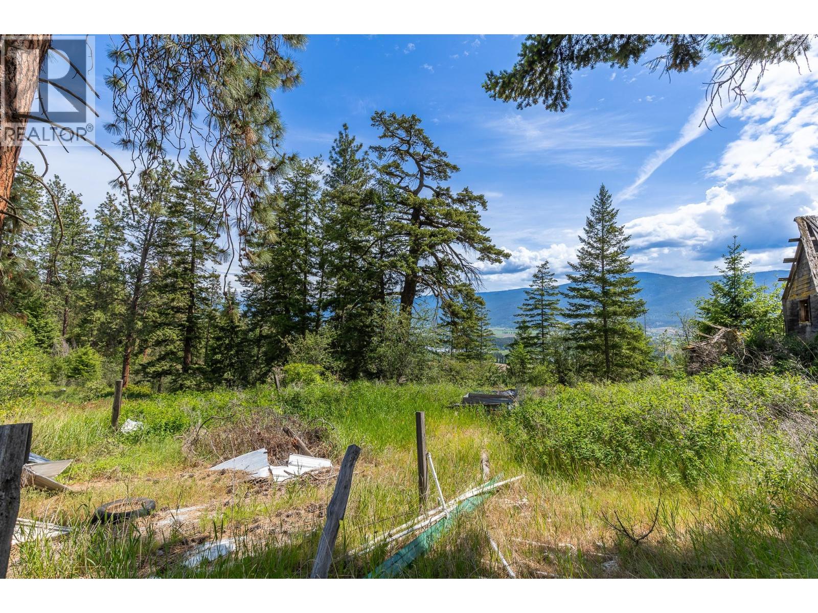 Proposed Lot B 1212 Page Road, Spallumcheen, British Columbia  V4Y 0P8 - Photo 31 - 10389065