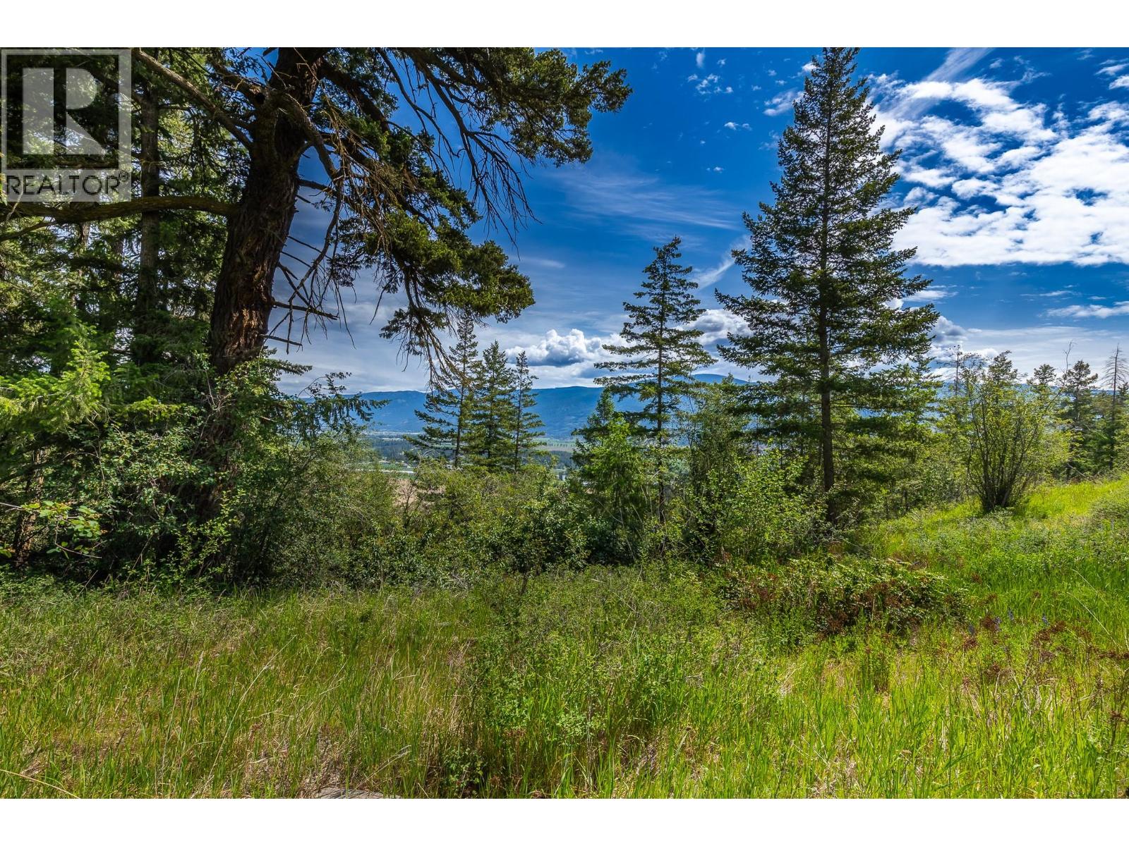 Proposed Lot B 1212 Page Road, Spallumcheen, British Columbia  V4Y 0P8 - Photo 32 - 10389065