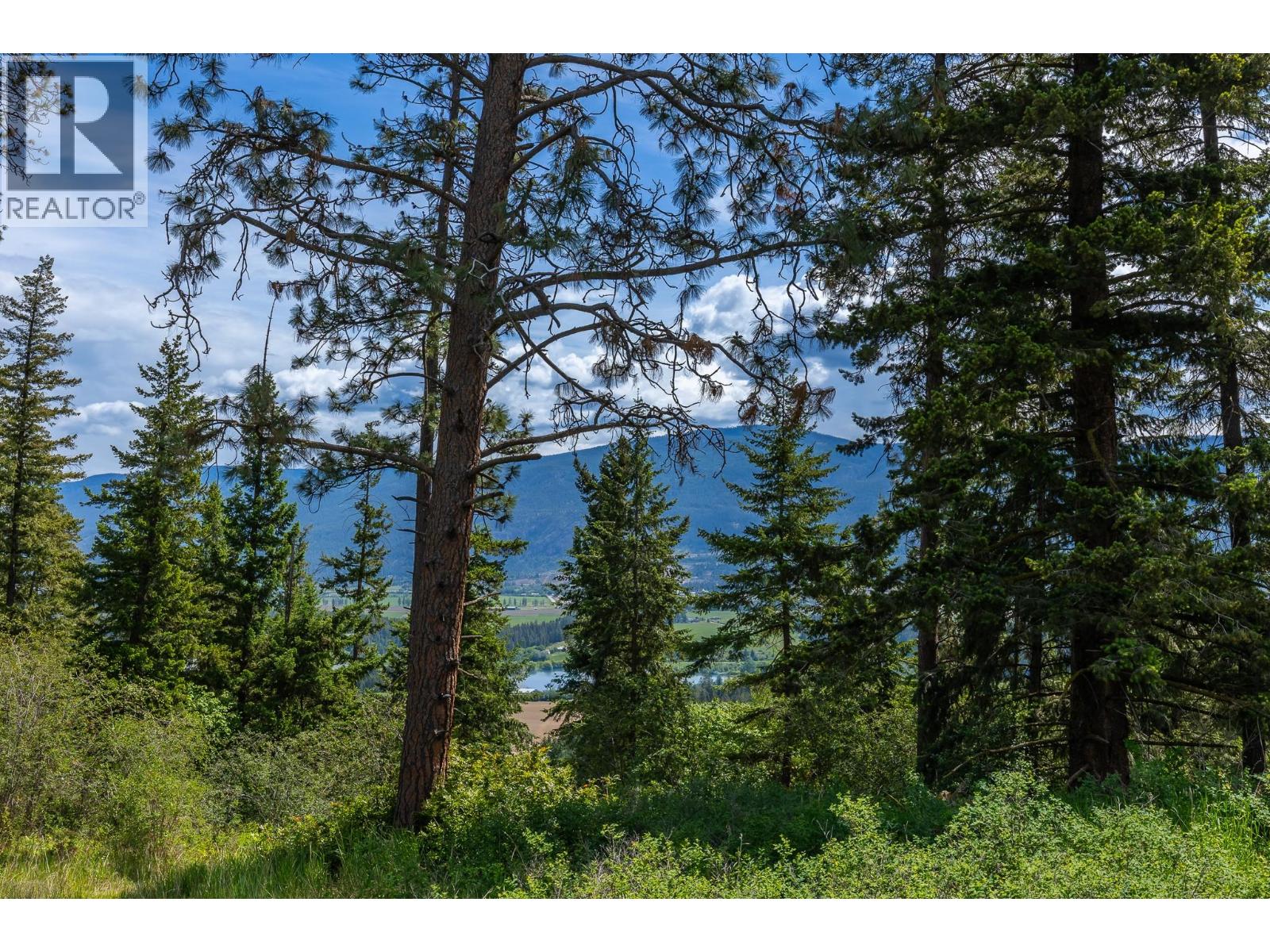 Proposed Lot B 1212 Page Road, Spallumcheen, British Columbia  V4Y 0P8 - Photo 33 - 10389065