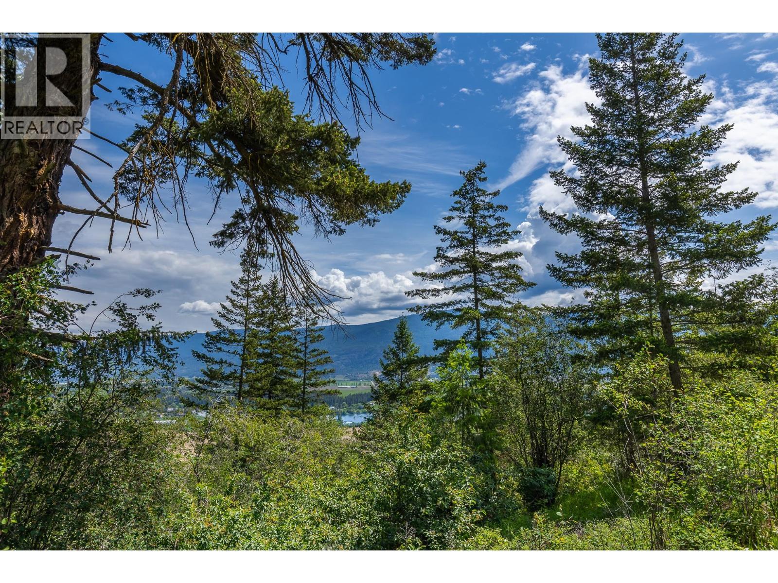 Proposed Lot B 1212 Page Road, Spallumcheen, British Columbia  V4Y 0P8 - Photo 34 - 10389065