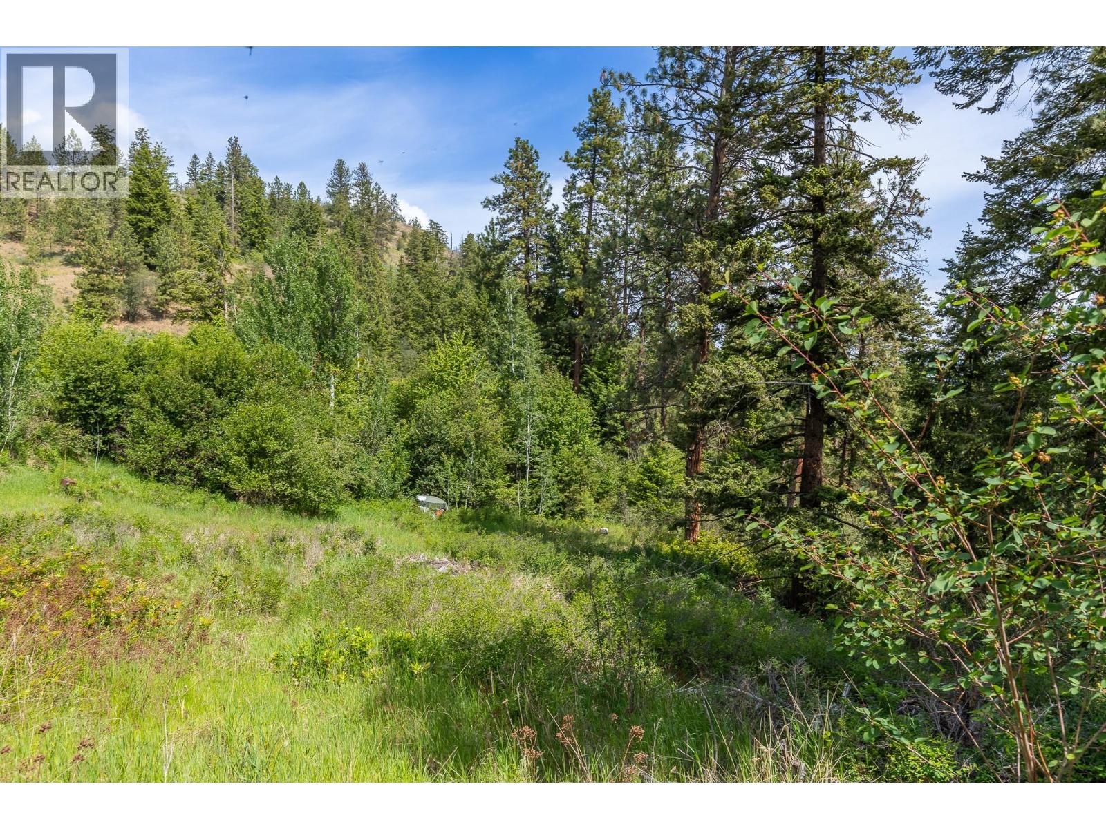 Proposed Lot B 1212 Page Road, Spallumcheen, British Columbia  V4Y 0P8 - Photo 37 - 10389065