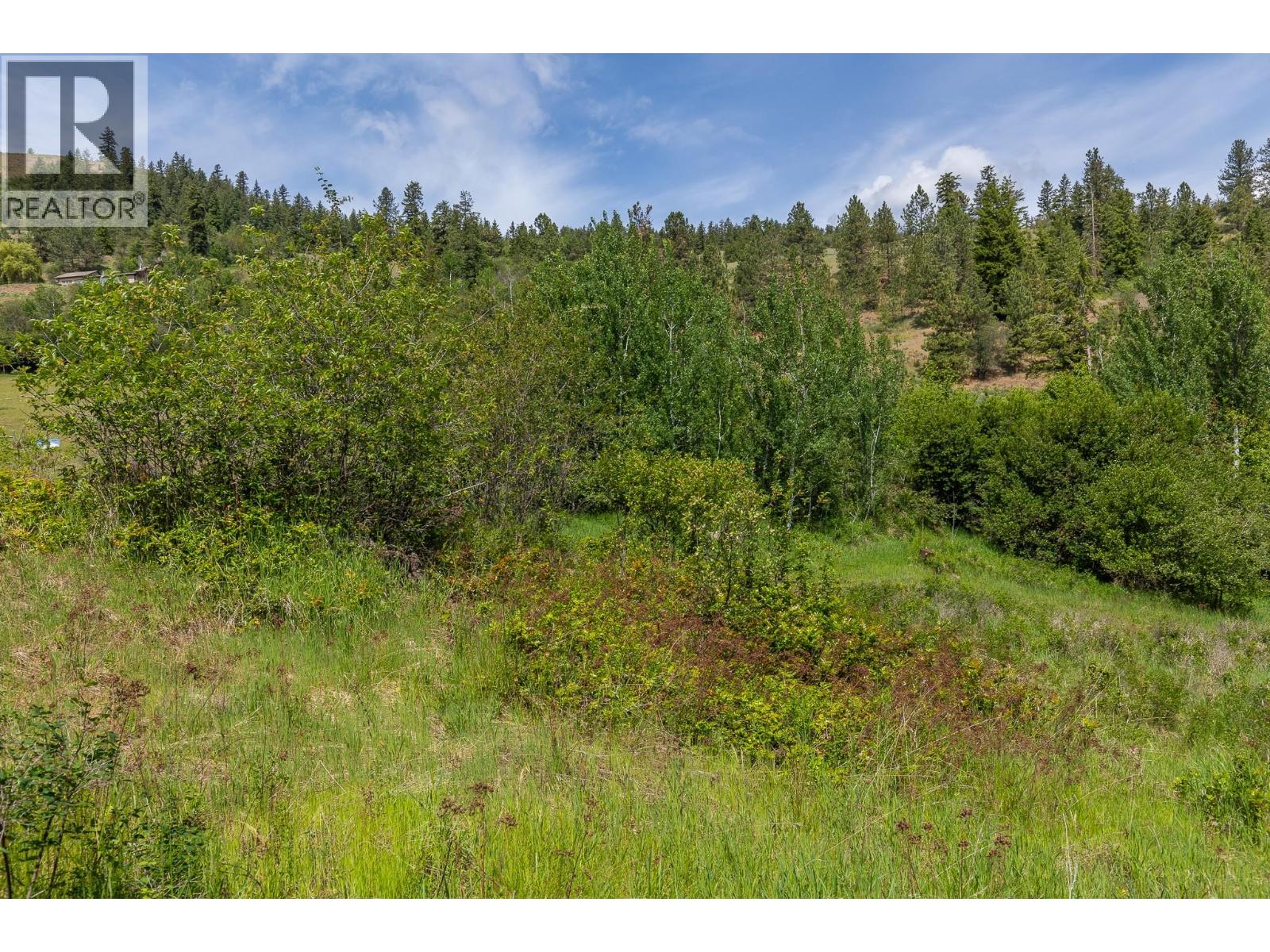 Proposed Lot B 1212 Page Road, Spallumcheen, British Columbia  V4Y 0P8 - Photo 38 - 10389065