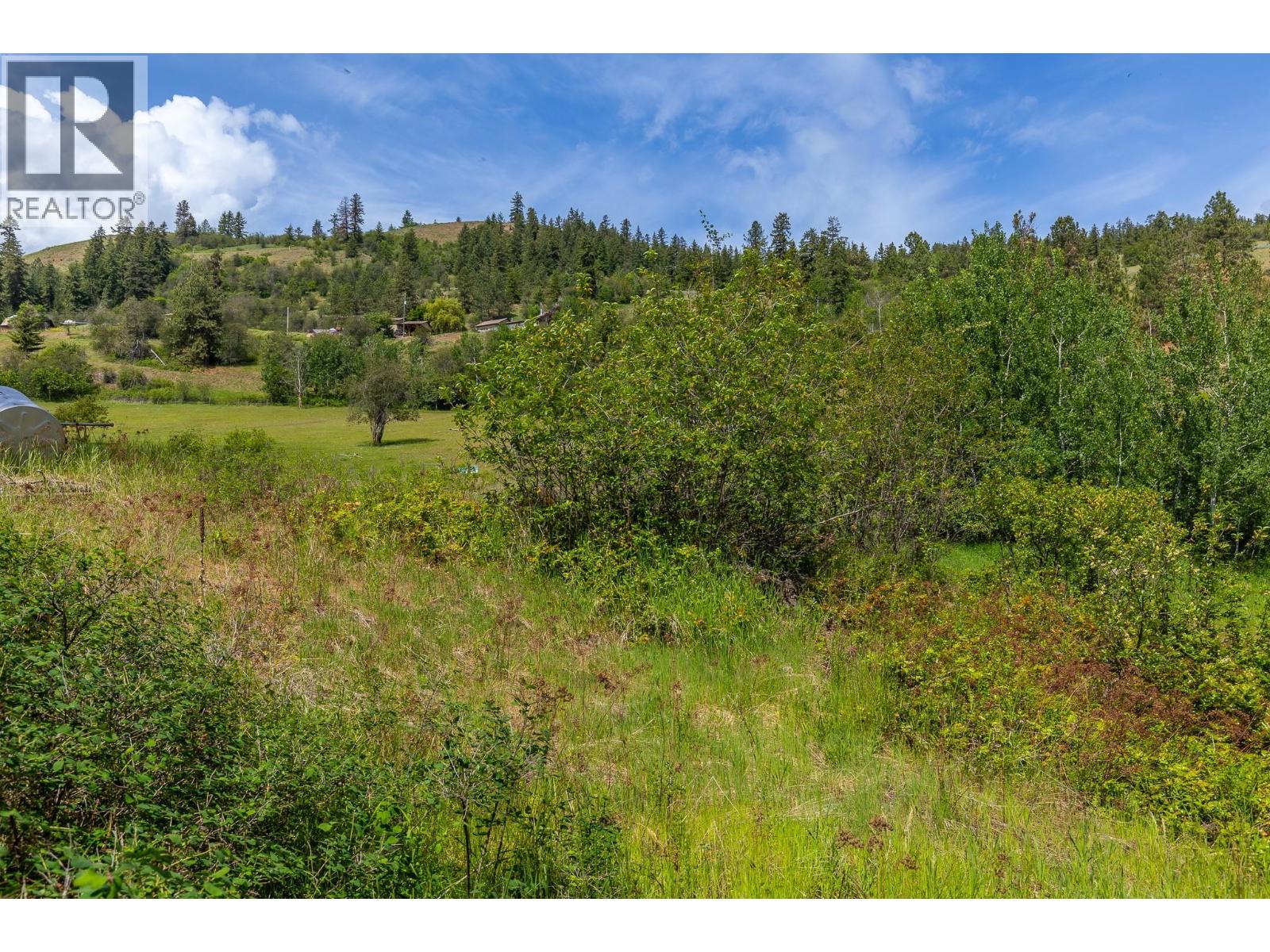 Proposed Lot B 1212 Page Road, Spallumcheen, British Columbia  V4Y 0P8 - Photo 39 - 10389065