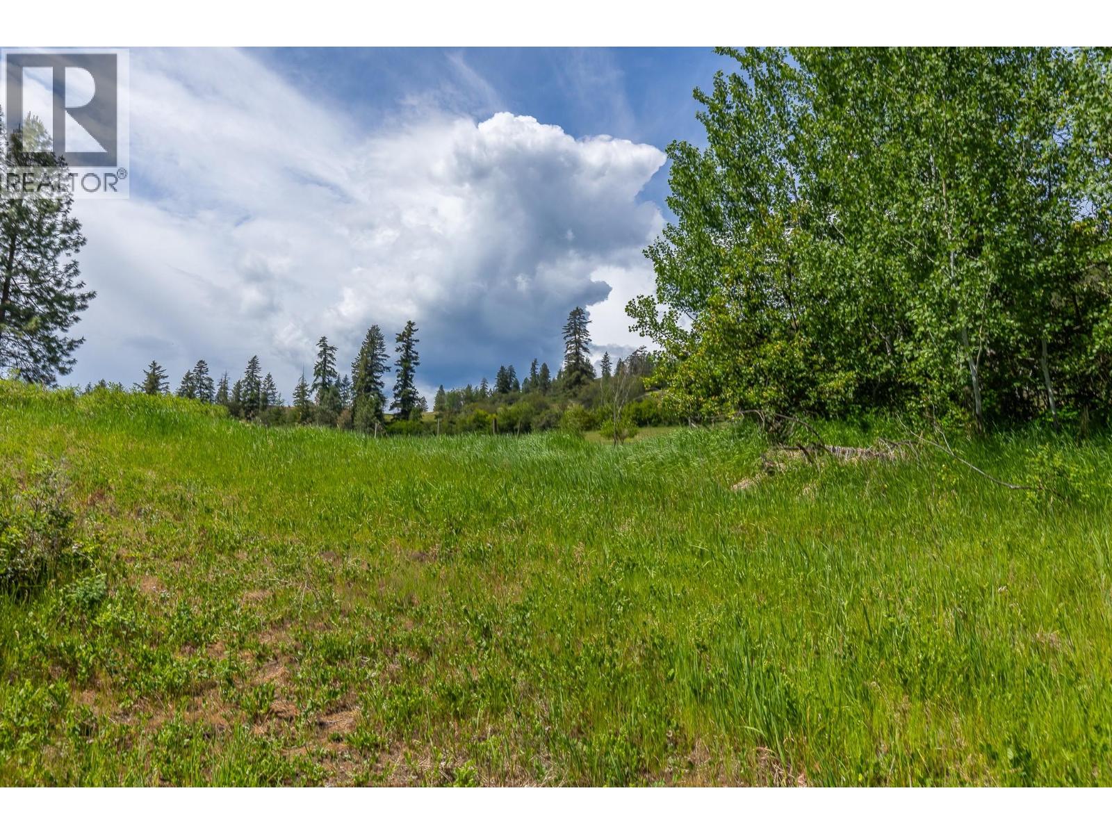 Proposed Lot B 1212 Page Road, Spallumcheen, British Columbia  V4Y 0P8 - Photo 40 - 10389065