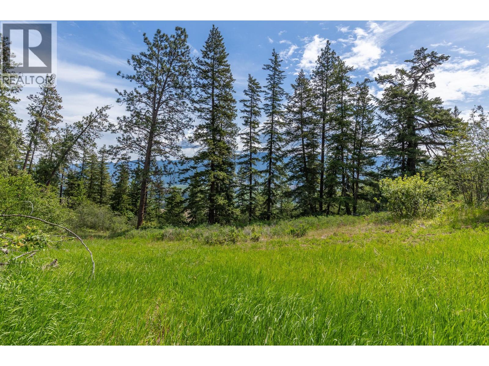 Proposed Lot B 1212 Page Road, Spallumcheen, British Columbia  V4Y 0P8 - Photo 41 - 10389065