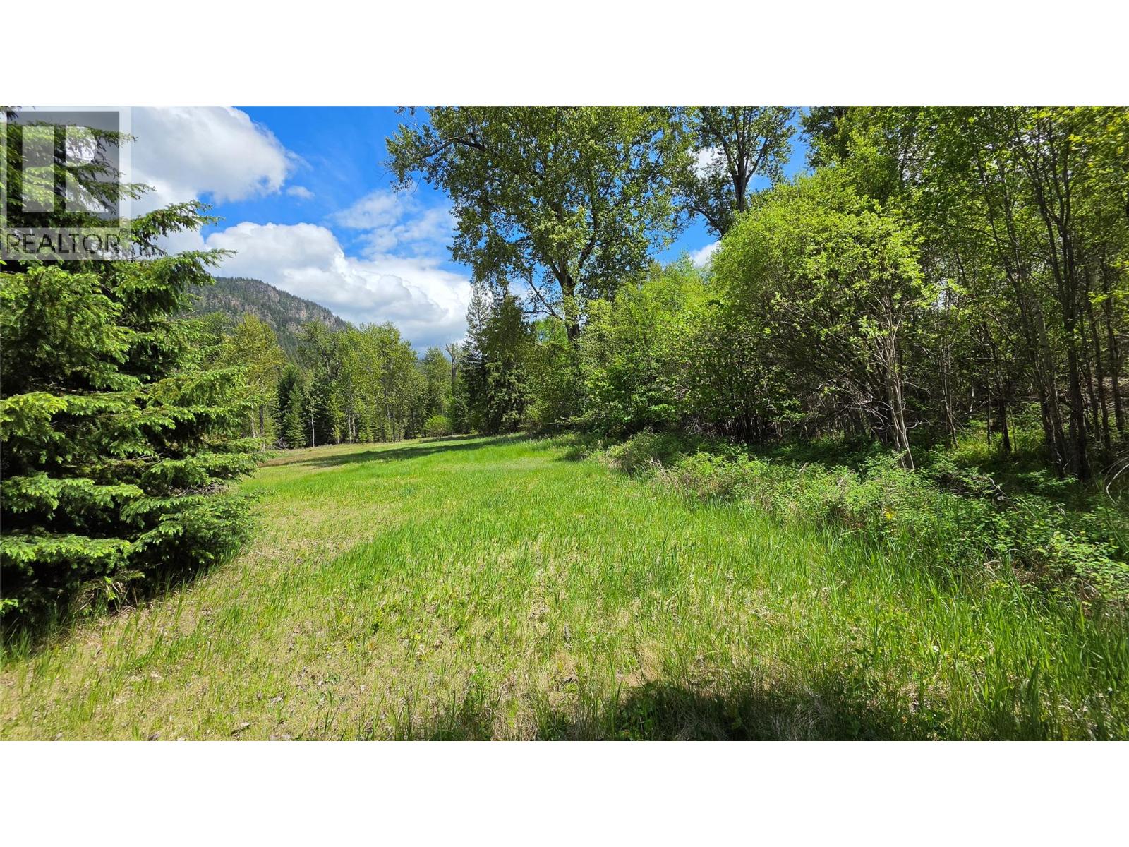 71 Byers Road, Cherryville, British Columbia  V0E 2G1 - Photo 34 - 10389522