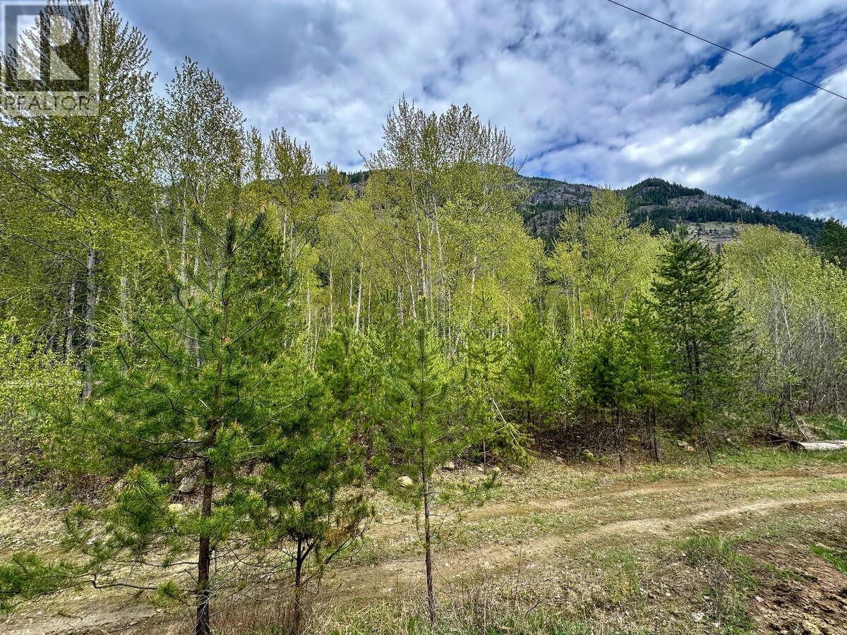 Highway 6 Lot# 2, Passmore, British Columbia  V0G 2E0 - Photo 1 - 10389551