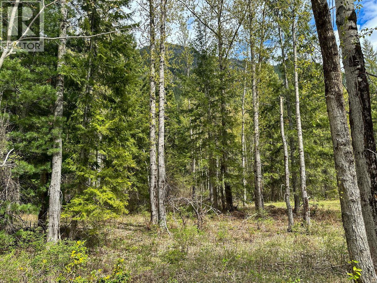 Highway 6 Lot# 2, Passmore, British Columbia  V0G 2E0 - Photo 10 - 10389551