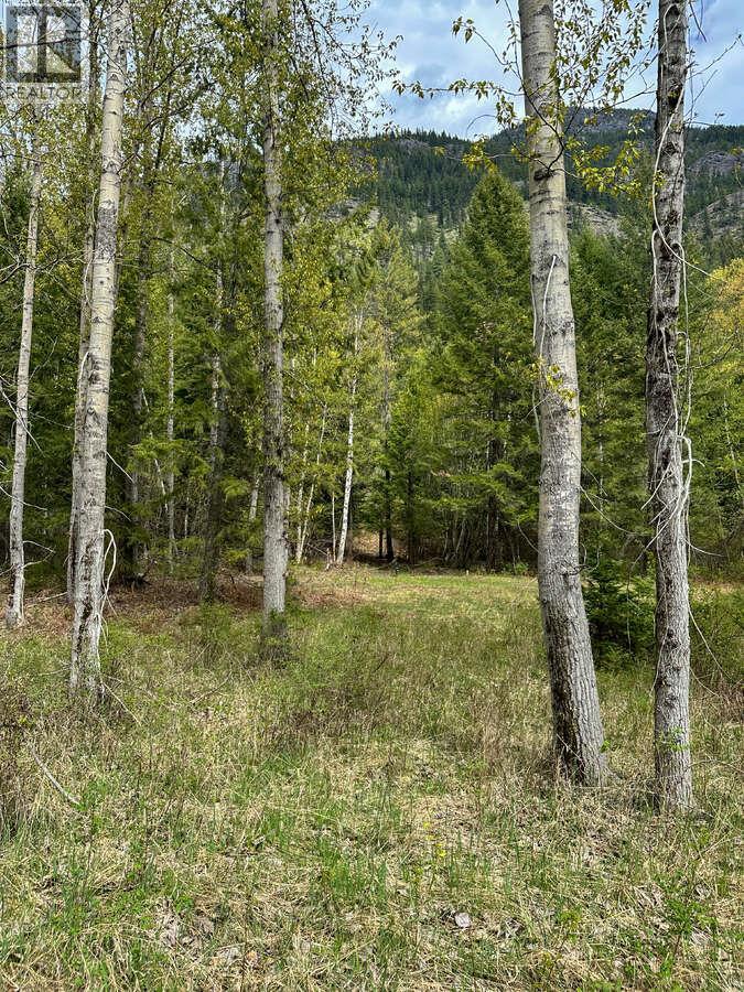 Highway 6 Lot# 2, Passmore, British Columbia  V0G 2E0 - Photo 11 - 10389551