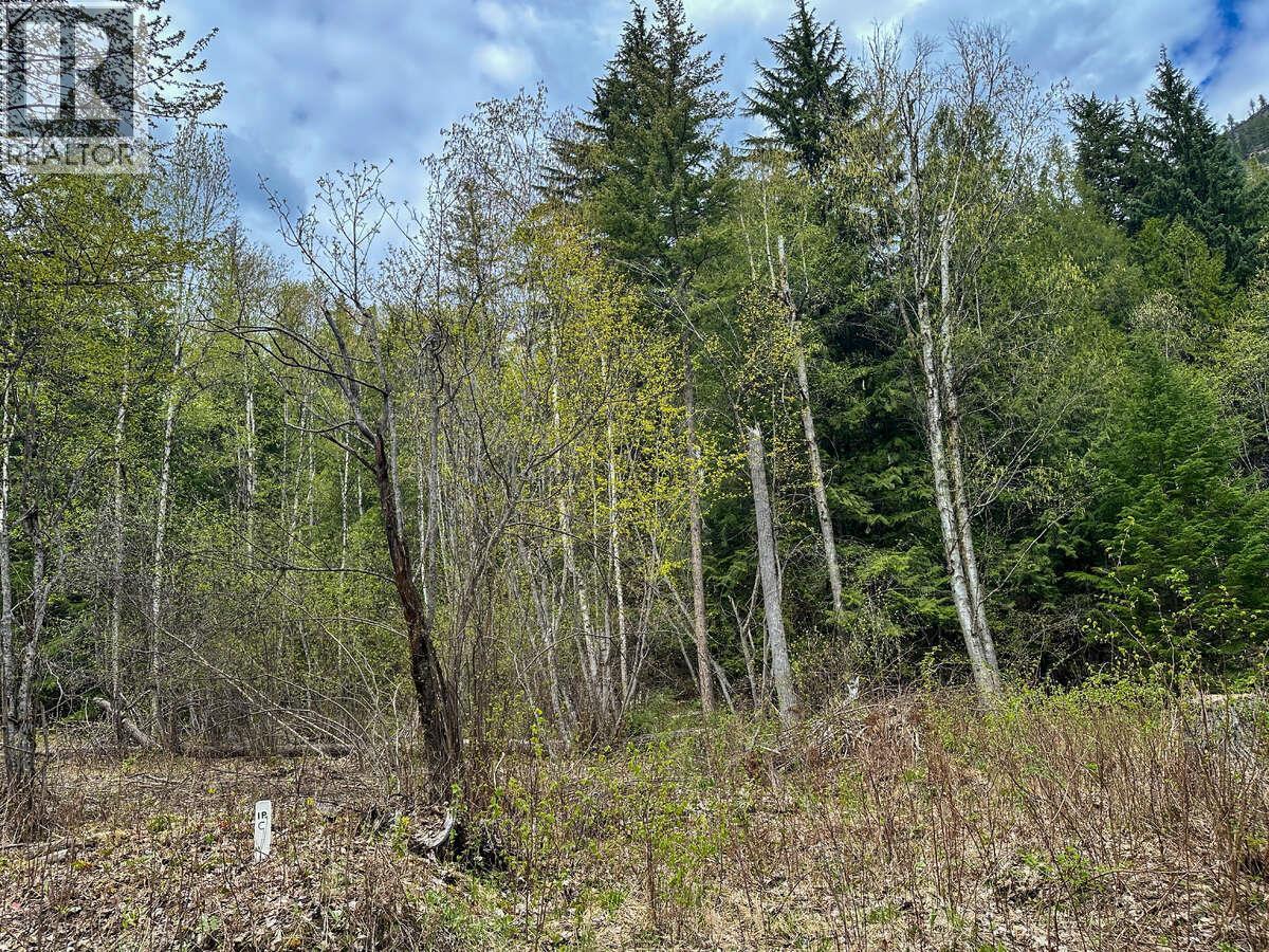 Highway 6 Lot# 2, Passmore, British Columbia  V0G 2E0 - Photo 12 - 10389551