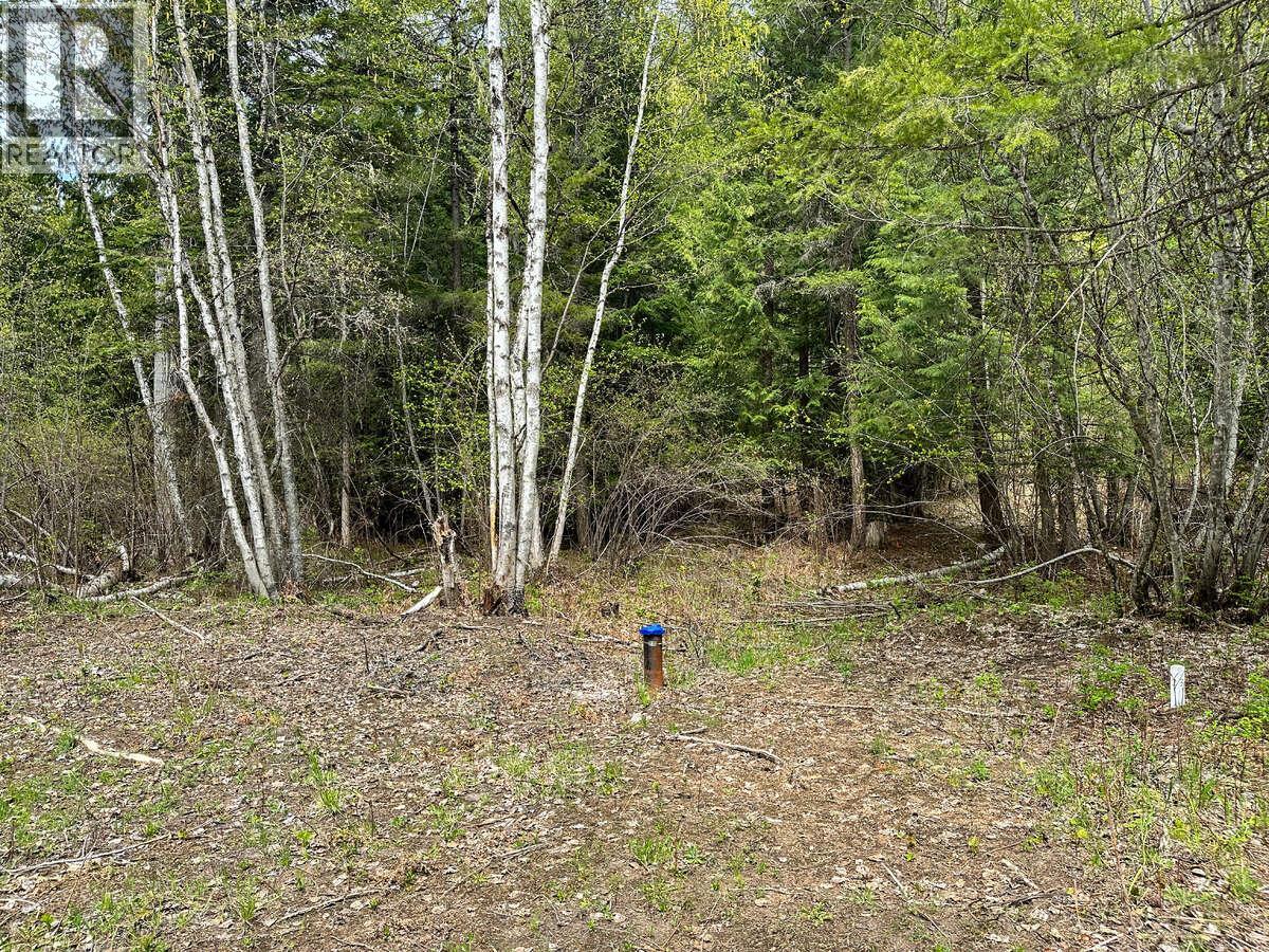 Highway 6 Lot# 2, Passmore, British Columbia  V0G 2E0 - Photo 13 - 10389551