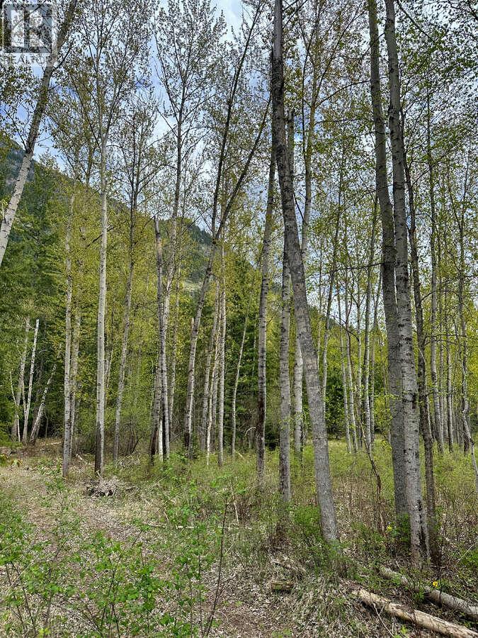 Highway 6 Lot# 2, Passmore, British Columbia  V0G 2E0 - Photo 14 - 10389551