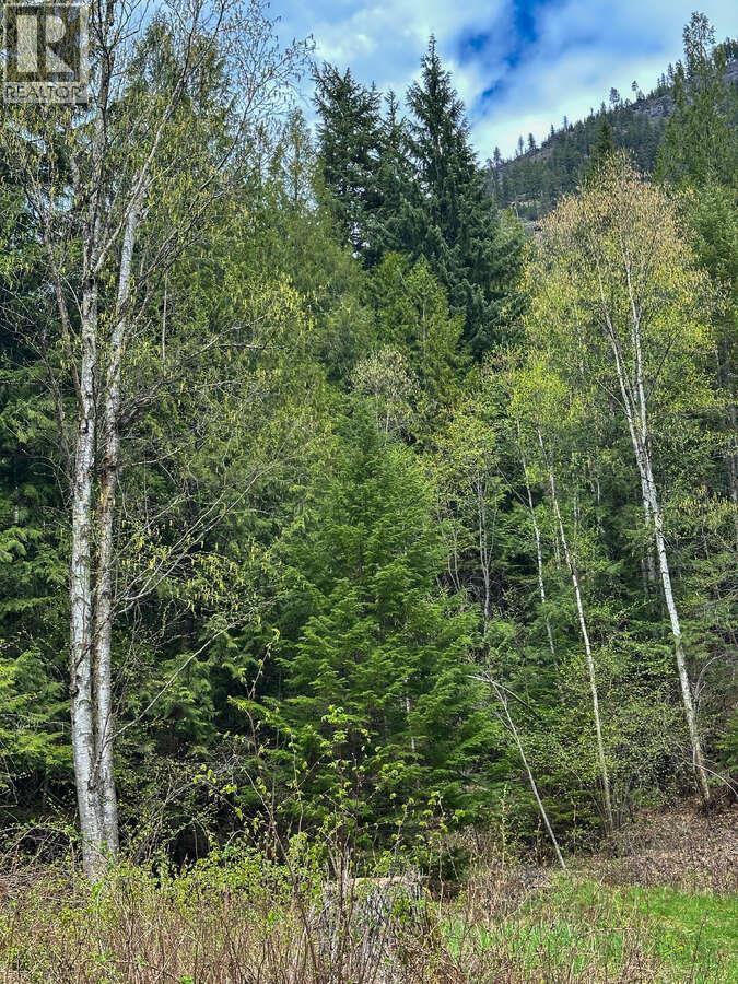 Highway 6 Lot# 2, Passmore, British Columbia  V0G 2E0 - Photo 15 - 10389551
