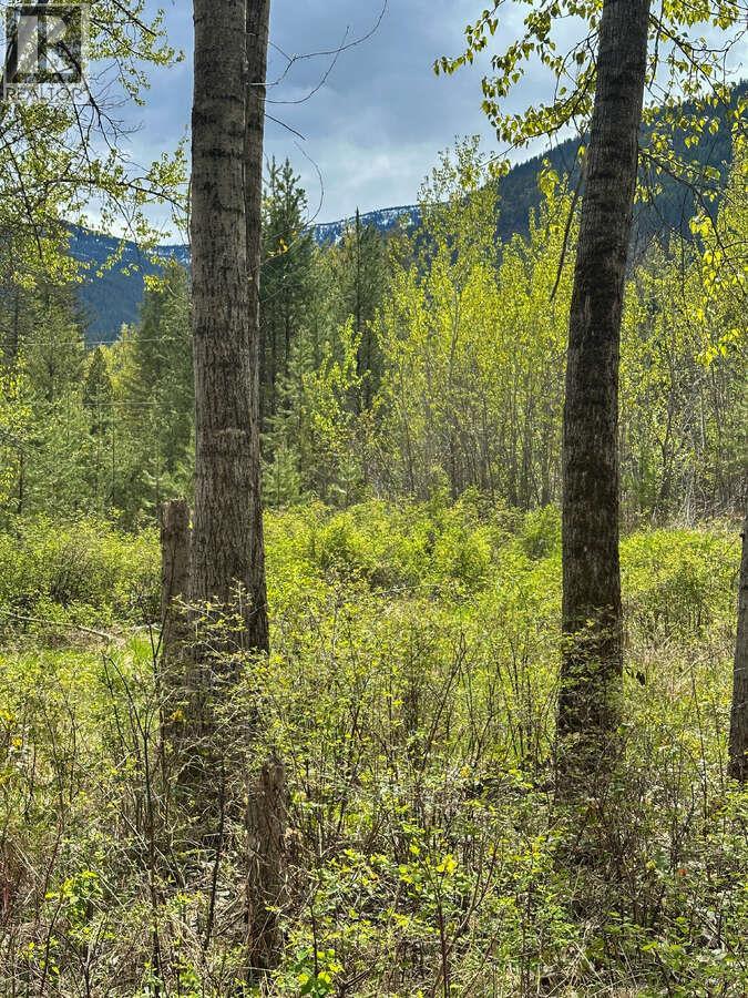 Highway 6 Lot# 2, Passmore, British Columbia  V0G 2E0 - Photo 16 - 10389551
