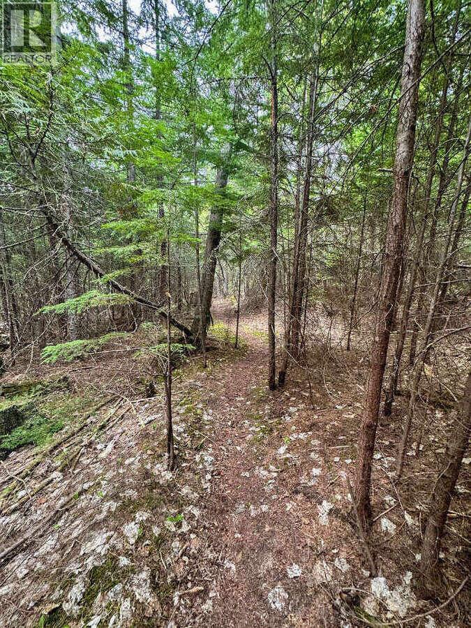 Highway 6 Lot# 2, Passmore, British Columbia  V0G 2E0 - Photo 18 - 10389551