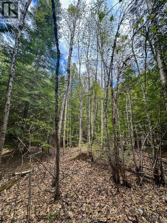 Highway 6 Lot# 2, Passmore, British Columbia  V0G 2E0 - Photo 19 - 10389551