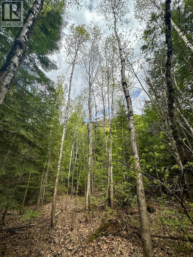 Highway 6 Lot# 2, Passmore, British Columbia  V0G 2E0 - Photo 20 - 10389551