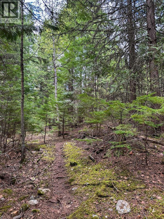 Highway 6 Lot# 2, Passmore, British Columbia  V0G 2E0 - Photo 21 - 10389551