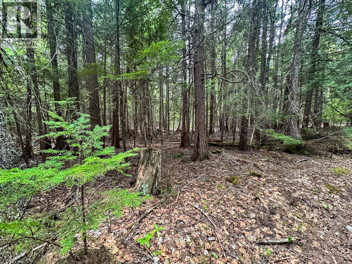 Highway 6 Lot# 2, Passmore, British Columbia  V0G 2E0 - Photo 22 - 10389551