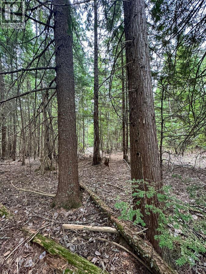 Highway 6 Lot# 2, Passmore, British Columbia  V0G 2E0 - Photo 23 - 10389551