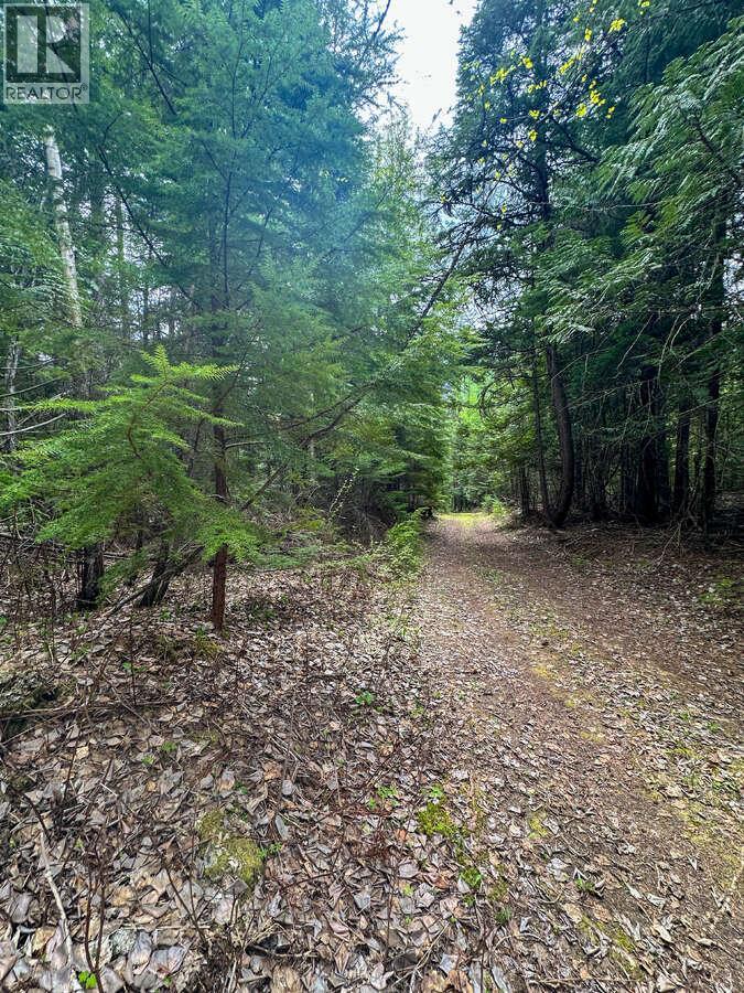 Highway 6 Lot# 2, Passmore, British Columbia  V0G 2E0 - Photo 24 - 10389551