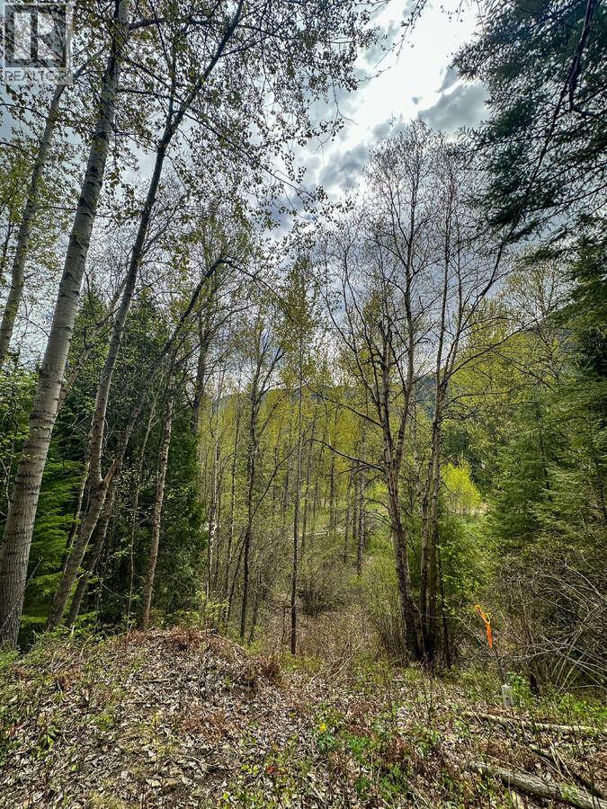 Highway 6 Lot# 2, Passmore, British Columbia  V0G 2E0 - Photo 25 - 10389551