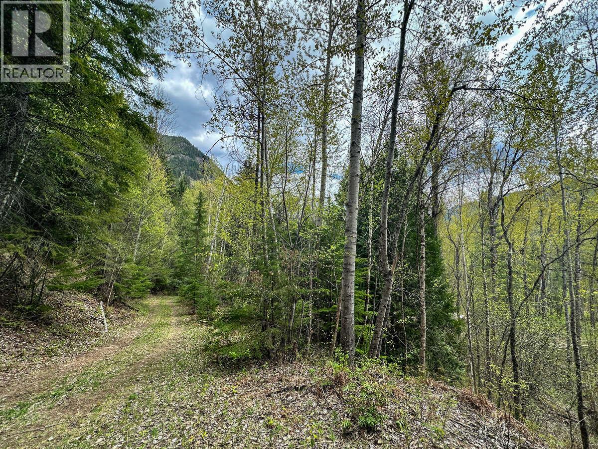 Highway 6 Lot# 2, Passmore, British Columbia  V0G 2E0 - Photo 26 - 10389551
