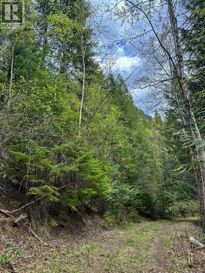 Highway 6 Lot# 2, Passmore, British Columbia  V0G 2E0 - Photo 27 - 10389551