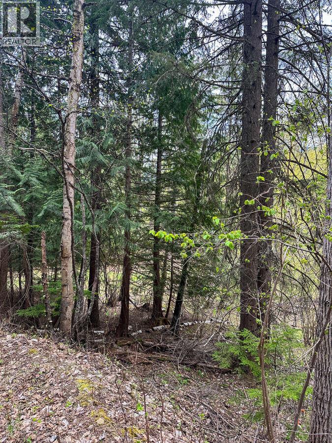Highway 6 Lot# 2, Passmore, British Columbia  V0G 2E0 - Photo 28 - 10389551