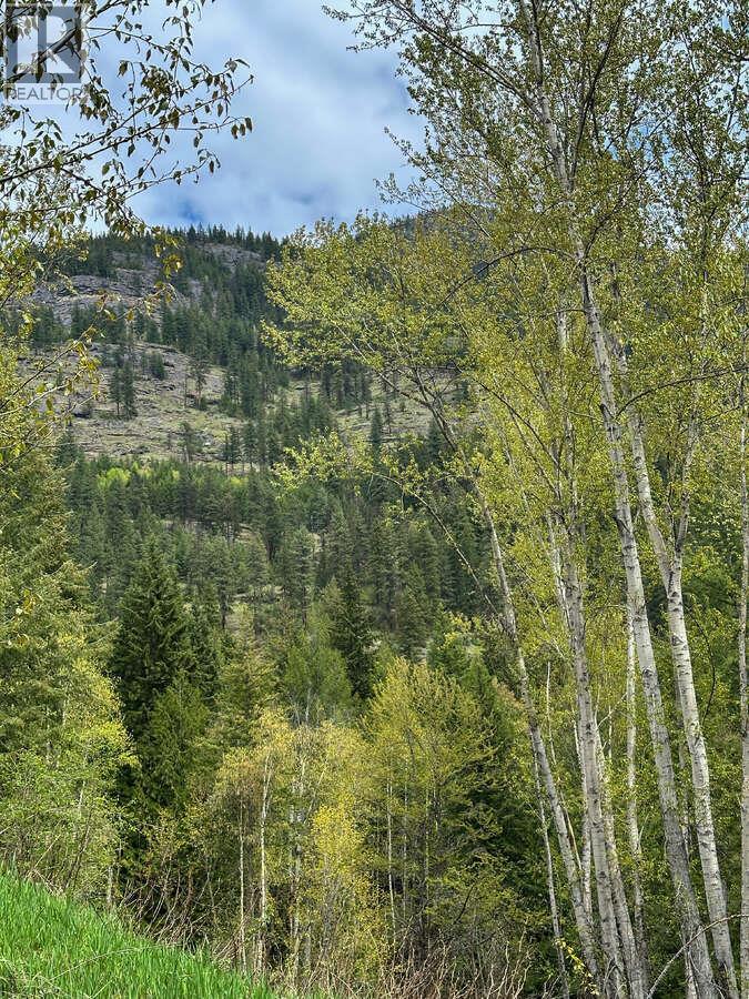 Highway 6 Lot# 2, Passmore, British Columbia  V0G 2E0 - Photo 3 - 10389551