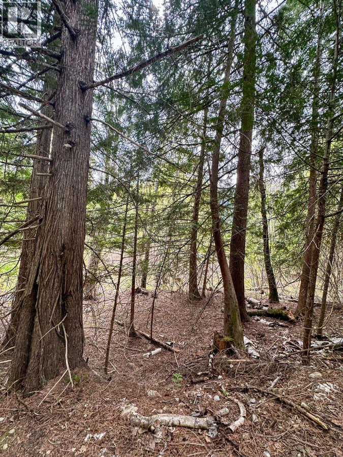 Highway 6 Lot# 2, Passmore, British Columbia  V0G 2E0 - Photo 30 - 10389551