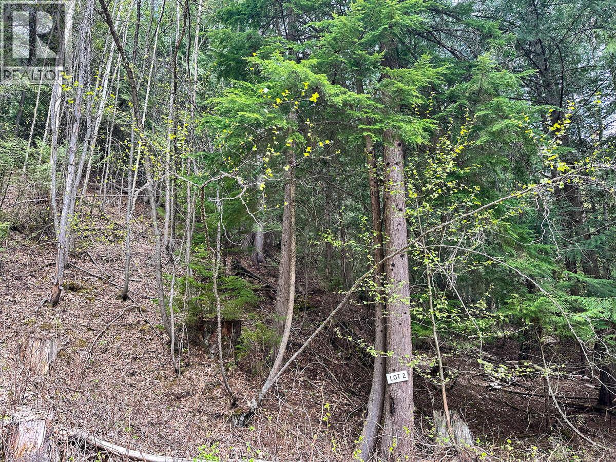 Highway 6 Lot# 2, Passmore, British Columbia  V0G 2E0 - Photo 31 - 10389551