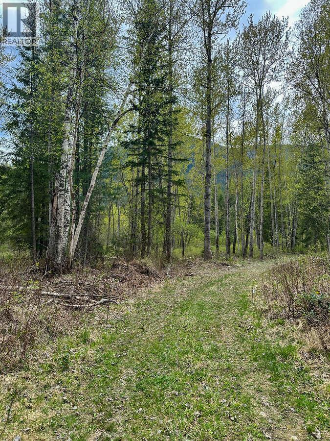 Highway 6 Lot# 2, Passmore, British Columbia  V0G 2E0 - Photo 32 - 10389551