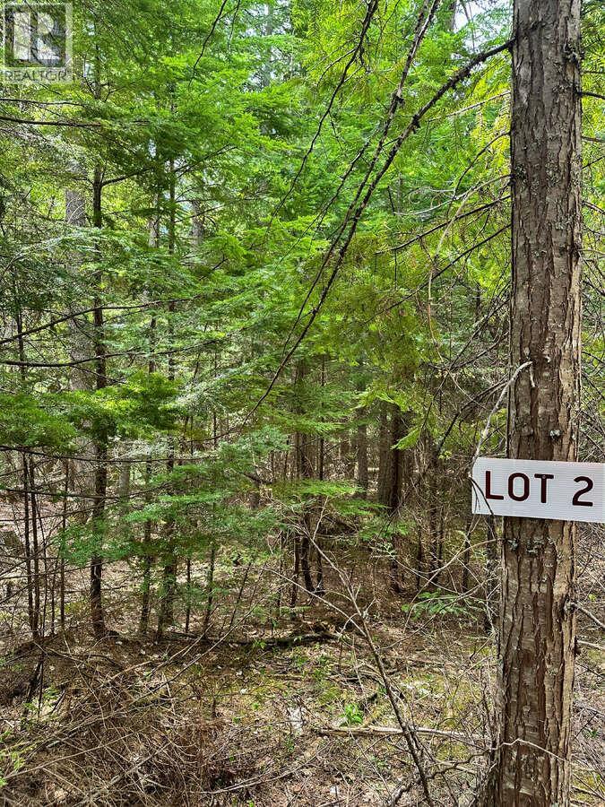 Highway 6 Lot# 2, Passmore, British Columbia  V0G 2E0 - Photo 33 - 10389551