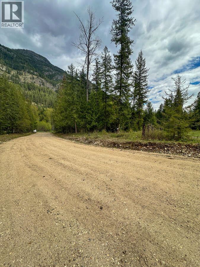 Highway 6 Lot# 2, Passmore, British Columbia  V0G 2E0 - Photo 34 - 10389551