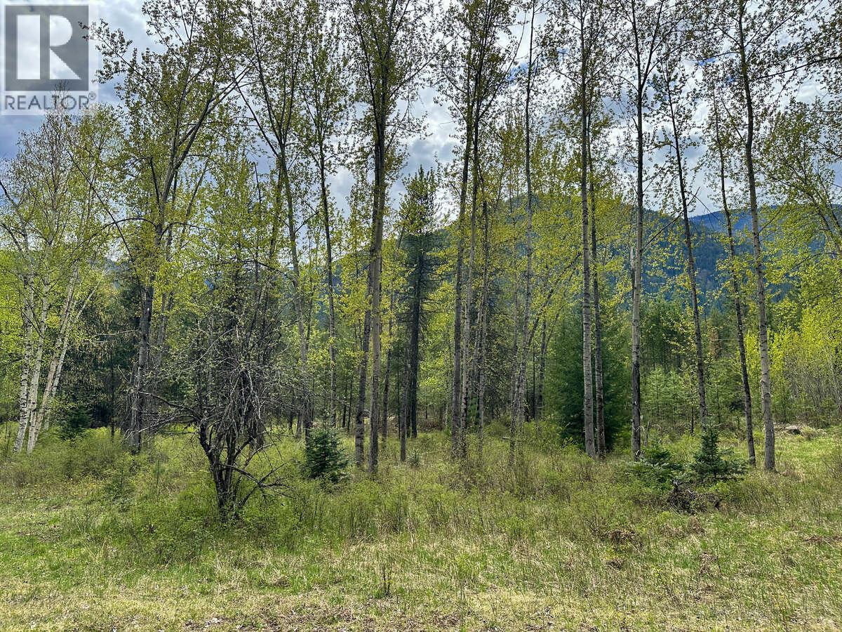 Highway 6 Lot# 2, Passmore, British Columbia  V0G 2E0 - Photo 4 - 10389551