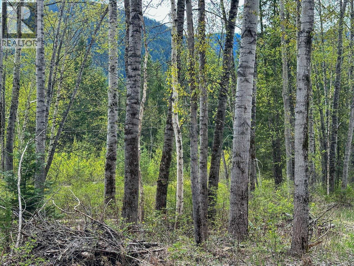 Highway 6 Lot# 2, Passmore, British Columbia  V0G 2E0 - Photo 5 - 10389551