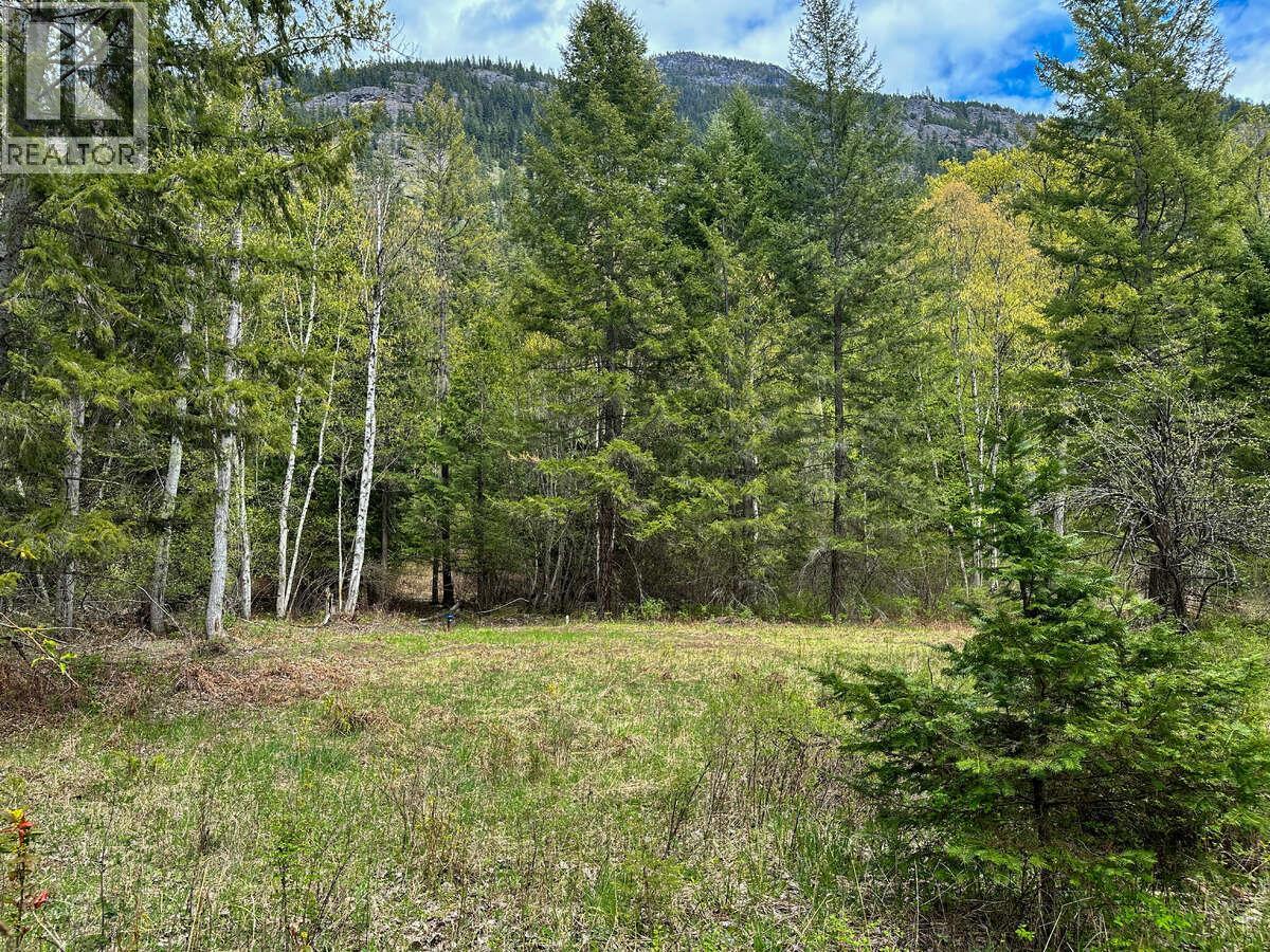 Highway 6 Lot# 2, Passmore, British Columbia  V0G 2E0 - Photo 6 - 10389551