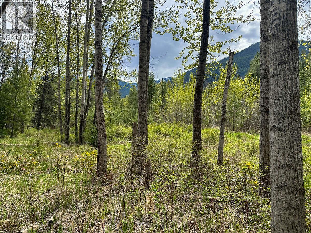 Highway 6 Lot# 2, Passmore, British Columbia  V0G 2E0 - Photo 7 - 10389551