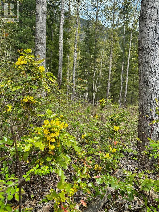 Highway 6 Lot# 2, Passmore, British Columbia  V0G 2E0 - Photo 8 - 10389551