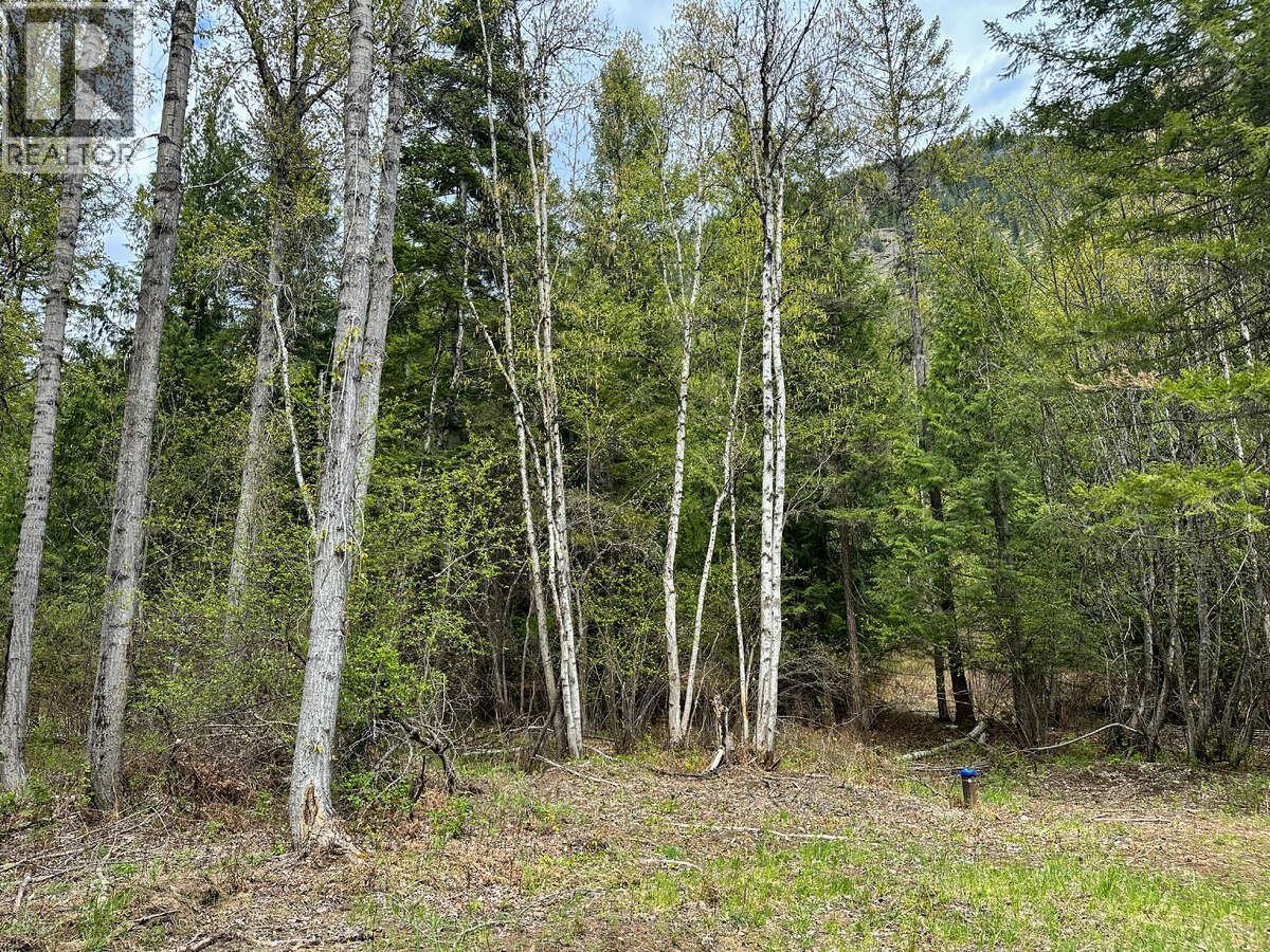 Highway 6 Lot# 2, Passmore, British Columbia  V0G 2E0 - Photo 9 - 10389551