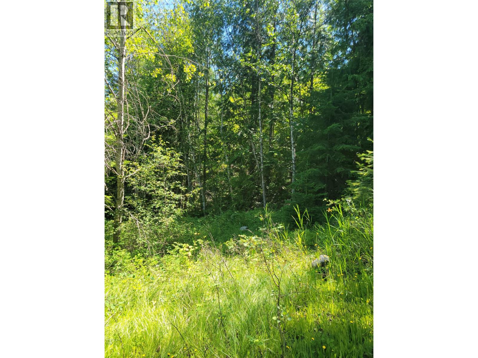941 Chase Falkland Road, Chase, British Columbia  V0E 1M1 - Photo 12 - 10389552